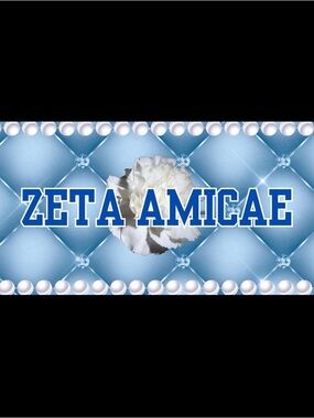 AMICAE LICENSE PLATE